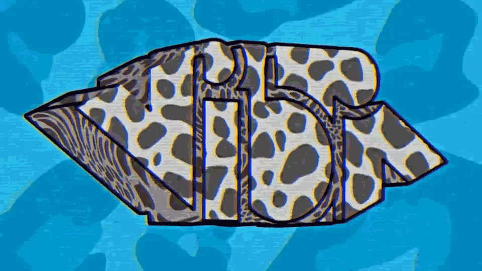 Next Project Preview